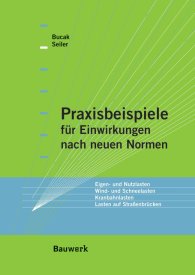 Publications  Bauwerk; Praxisbeispiele für Einwirkungen nach neuen Normen; Eigen- und Nutzlasten, Wind- und Schneelasten, Kranbahnlasten, Lasten auf Straßenbrücken 1.1.2007 preview